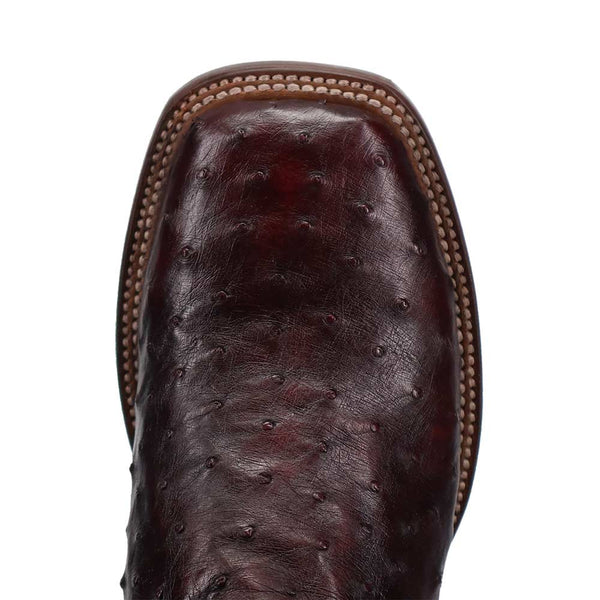 Dan Post Men’s Alamosa Black and Cherry Full Quill Ostrich Boots