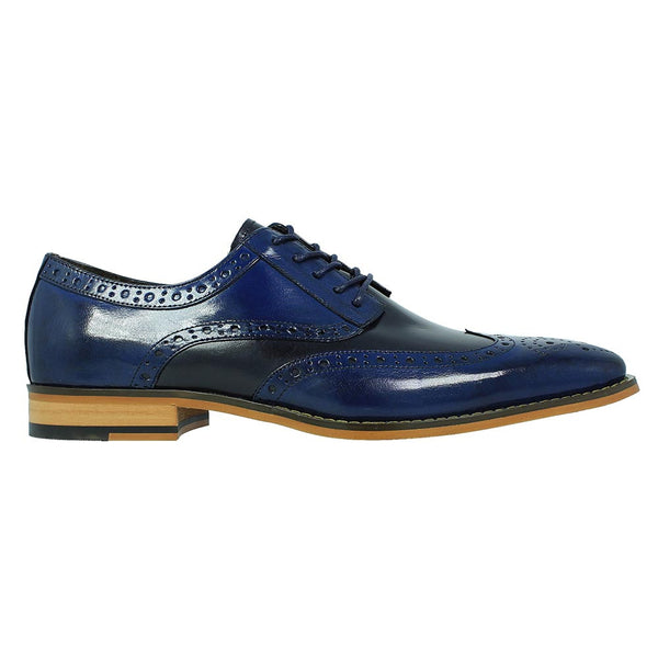 Stacy Adams Tinsley Cobalt & Navy Leather Wingtip Oxfords